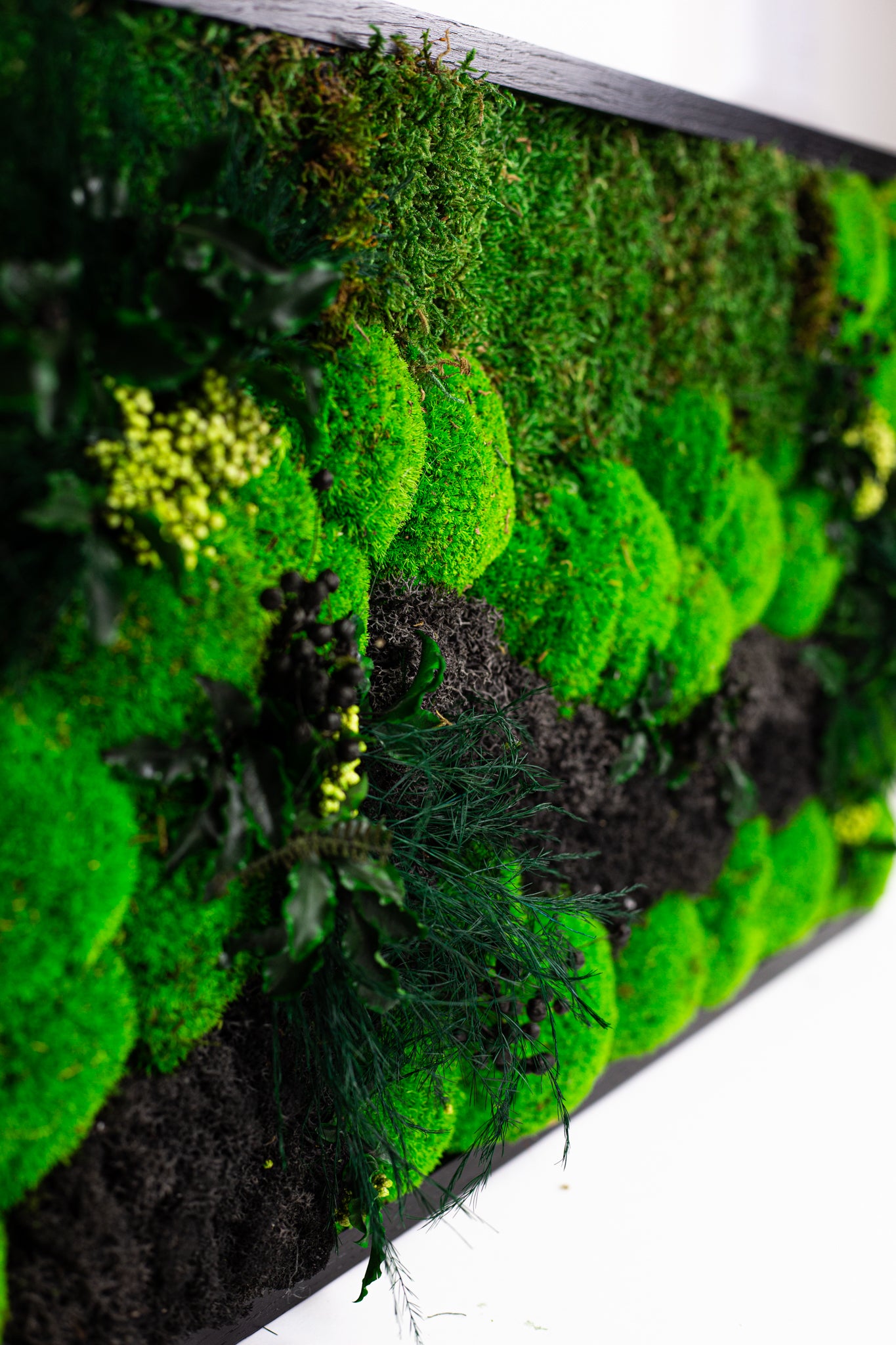 Vibrant Preserved Moss Wall Art Green Wall Décor with LED Lights Moss LED Wall Hanging Framed Plant Green Room Interior Housewarming Gift
