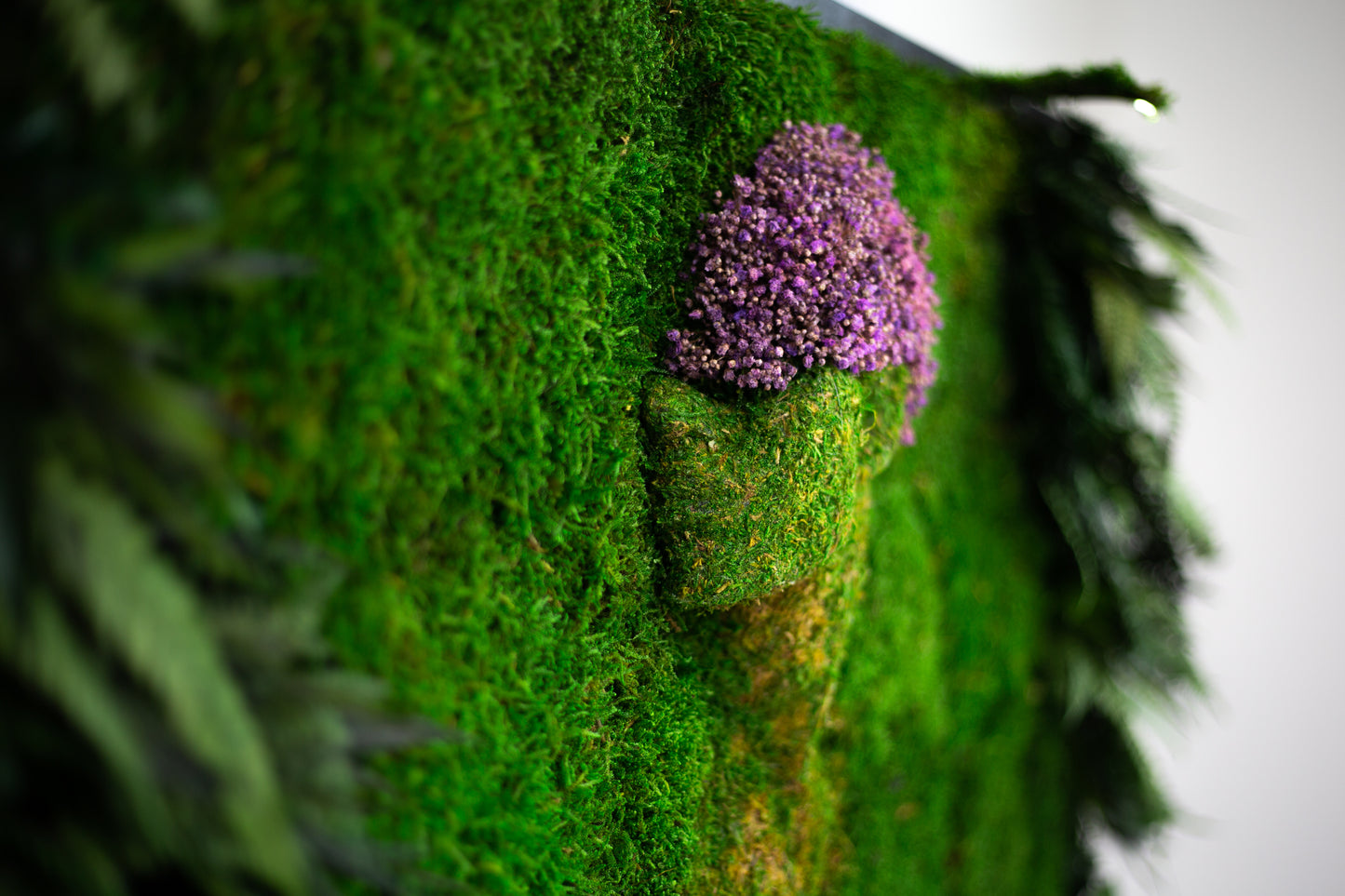 Luxurious Green Wall Art Female Artwork Preserved Moss Panel with LED Lights Moss LED Framed Wall Hanging Plant Home Decor Gift for Home