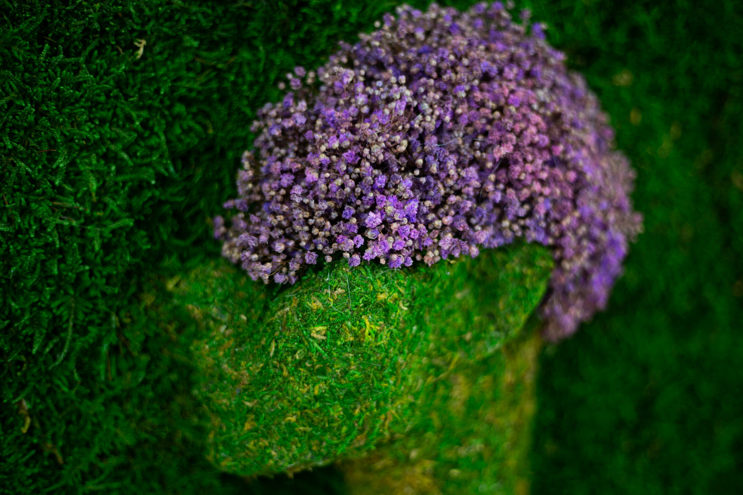 Luxurious Green Wall Art Female Artwork Preserved Moss Panel with LED Lights Moss LED Framed Wall Hanging Plant Home Decor Gift for Home