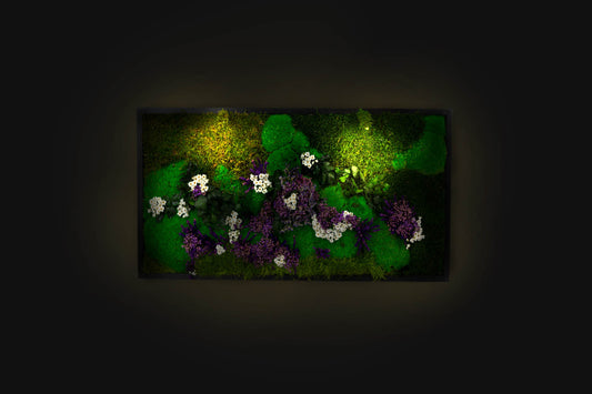 Amazing Moss Design Wall Hanging Green Wall Art Framed Plant Artwork Preserved Moss Panel with LED Lights Moss LED Home Decor Gift for Home