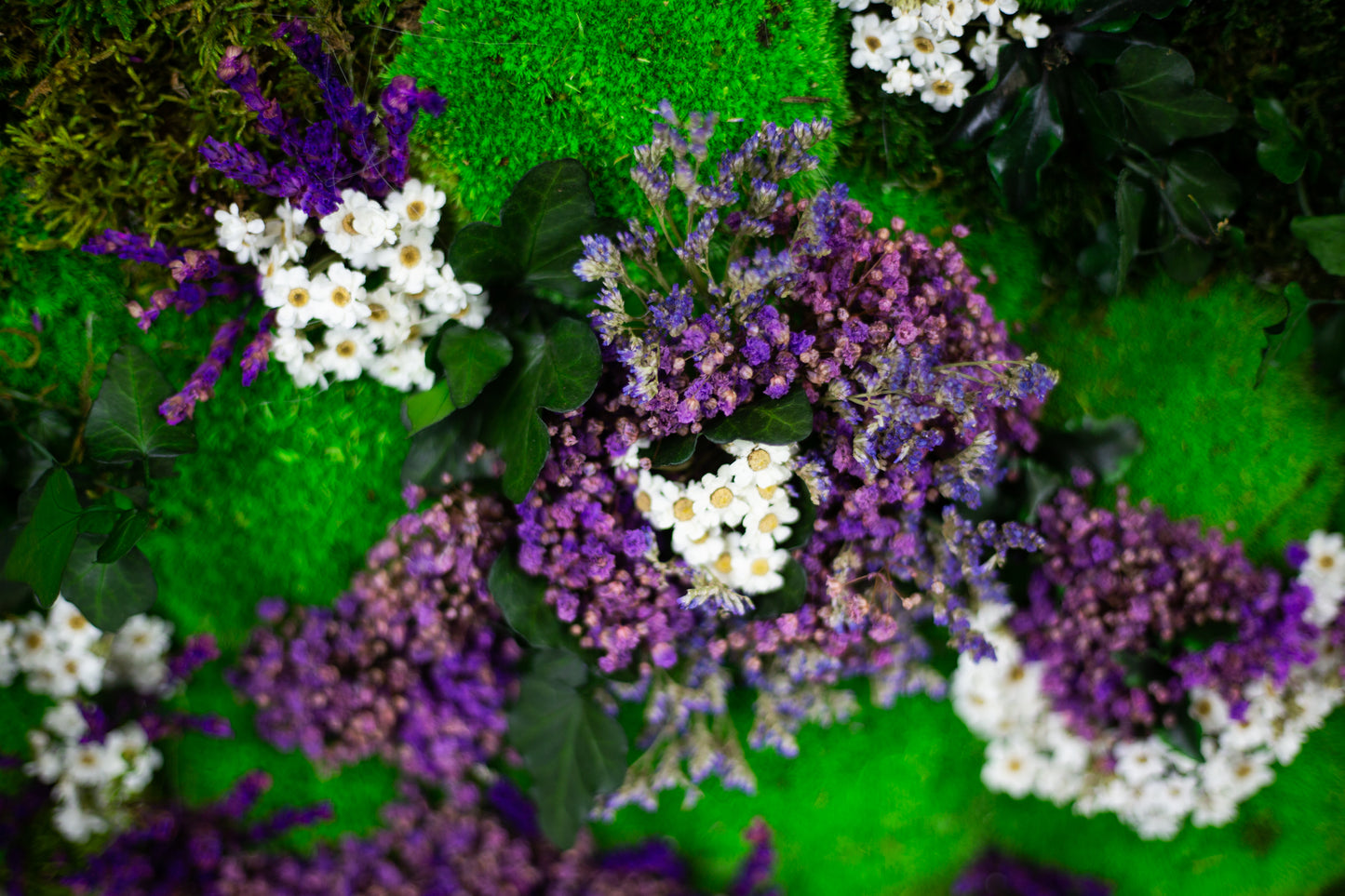 Amazing Moss Design Wall Hanging Green Wall Art Framed Plant Artwork Preserved Moss Panel with LED Lights Moss LED Home Decor Gift for Home