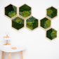 Enchanting Honeycomb Moss Wall Art Set of 7 - The Perfect Christmas Gift for Her!