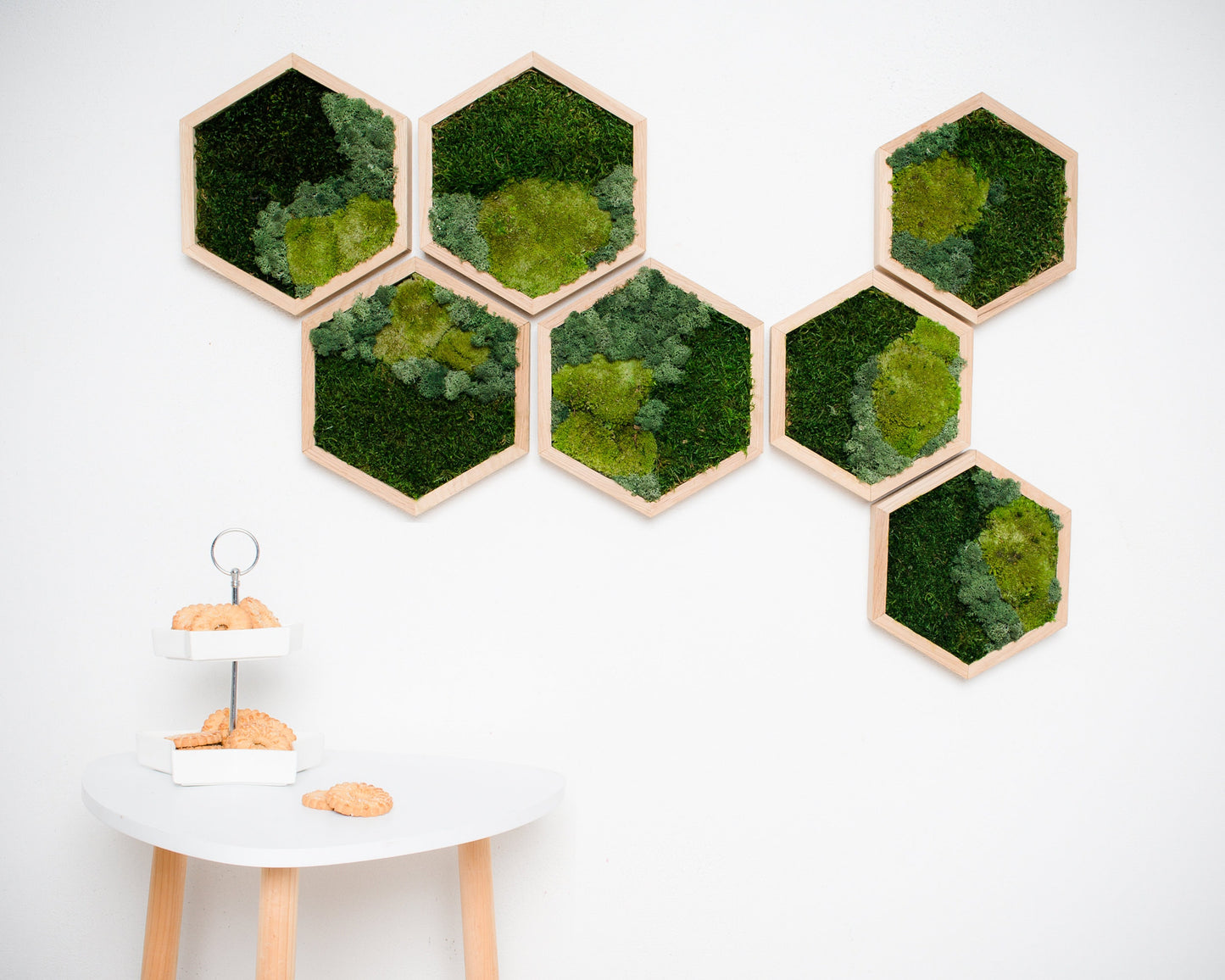 Enchanting Honeycomb Moss Wall Art Set of 7 - The Perfect Christmas Gift for Her!