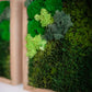 Experience the Magic of Nature with Our Eco-Friendly Reindeer Moss Wall Art Set of 3