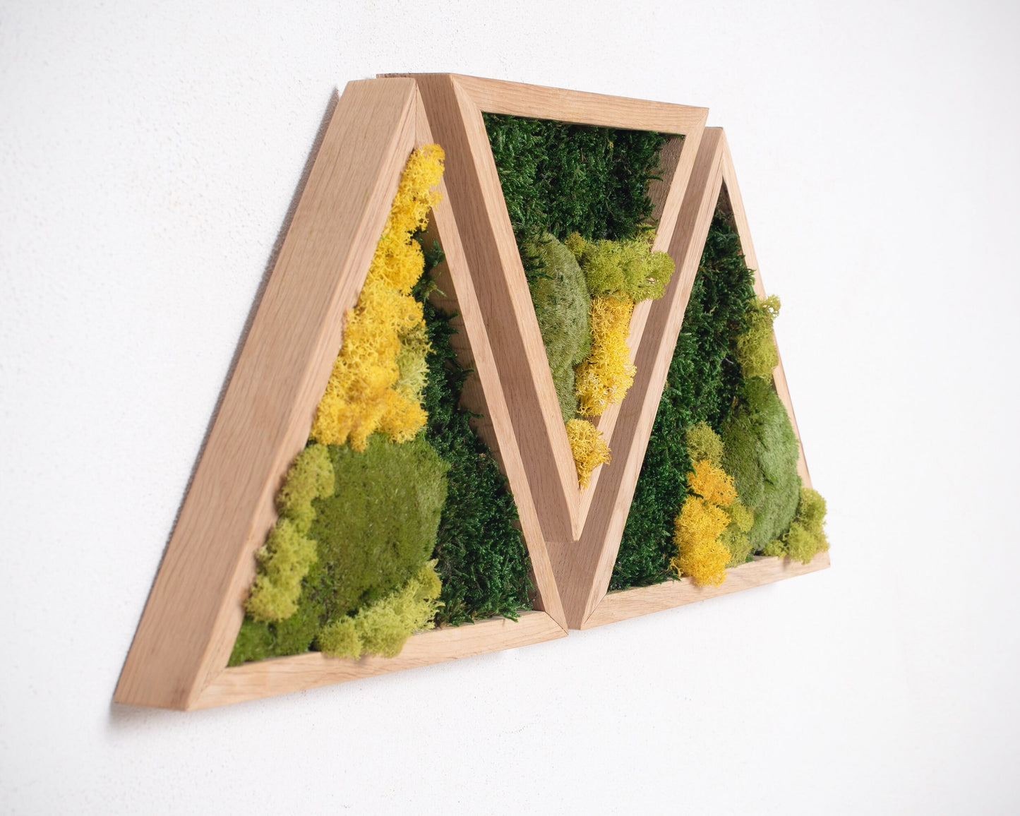 Minimalist Moss Living Wall Art: The Perfect Christmas Gift for Minimalist Decor Lovers