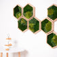 Enchanting Honeycomb Moss Wall Art Set of 7 - The Perfect Christmas Gift for Her!