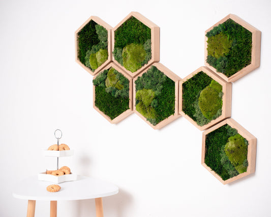 Enchanting Honeycomb Moss Wall Art Set of 7: A Unique Vertical Garden Christmas Gift!