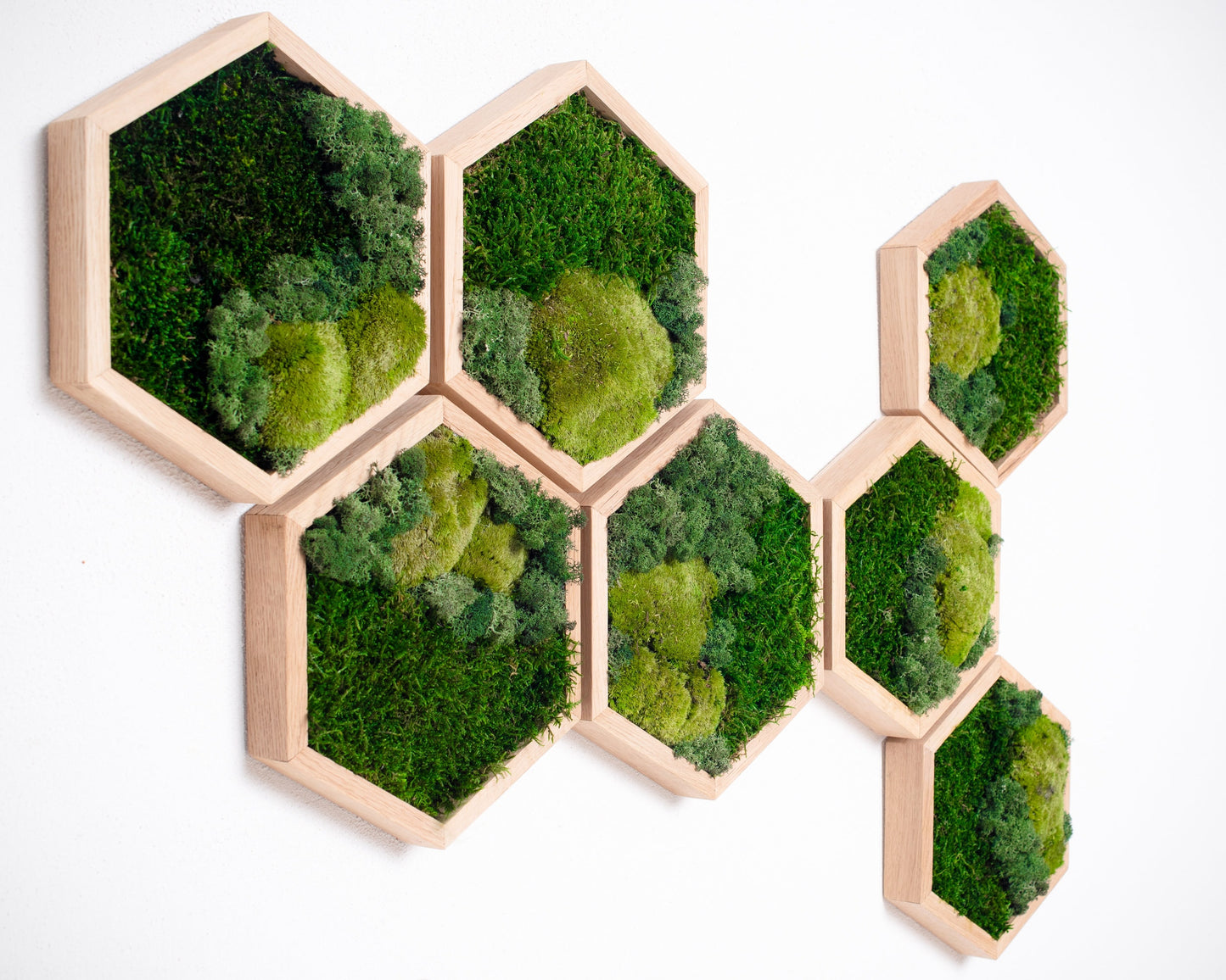 Enchanting Honeycomb Moss Wall Art Set of 7: A Unique Vertical Garden Christmas Gift!