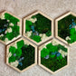 Hexagon Moss Art: Eco-Friendly Wall Decor, Perfect Housewarming & Christmas Gift!