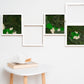Preserved Moss Art Panels: The Perfect Christmas Gift for Home Decoration Enthusiasts!