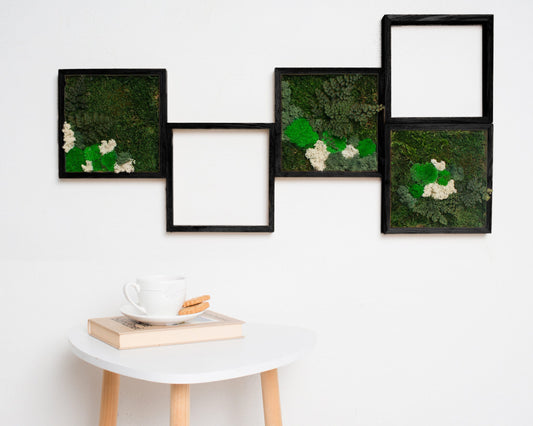  WDSLO Moss Art Wall Decor/ A4 Natural Picture with Moss/Florist  Decor/Framed Natural Reindeer Moss/Art Moss Home Decor/Gift Ideas with Moss/Handmade  Gifts (Apple Green) : Home & Kitchen