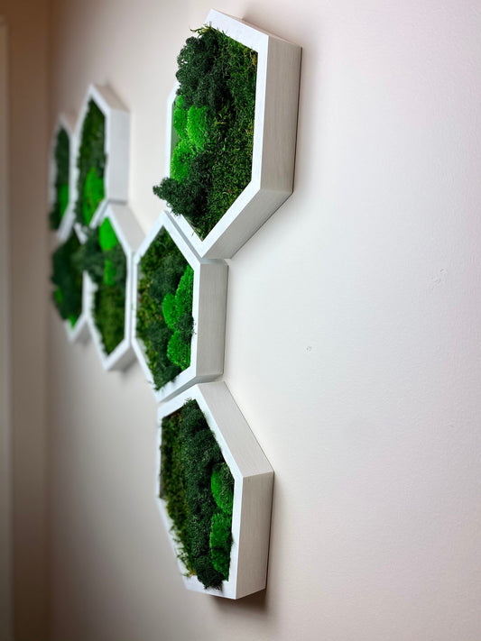 3D Moss Wall Art: Natural Wood Honeycomb Hexagons - Perfect Settler's Christmas Gift!