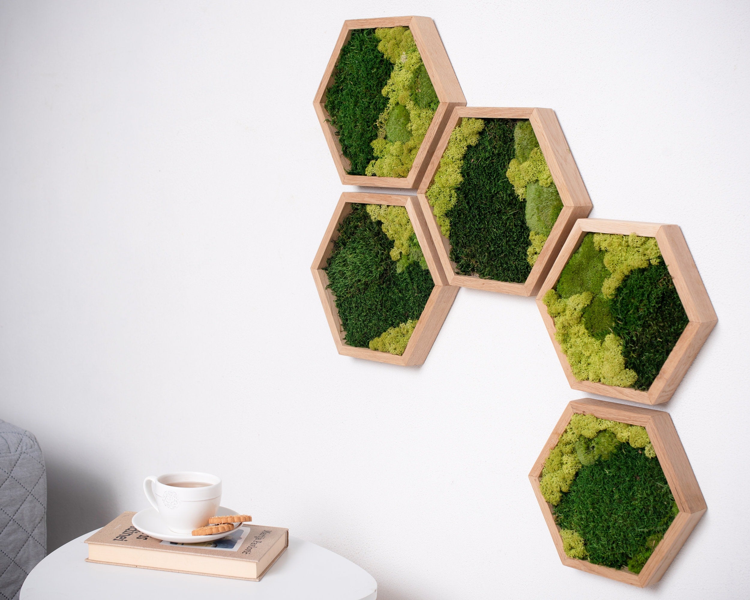 Moss wall art hexagon, Moss wall art, Moss wall panels, Moss wall hexagonal, Moss wall decor, moss wall art round, Moss top honeycomb tiles