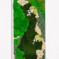 Transform Your Space: Lush Greenery Wall Art, Preserved Moss Frames for Home & Office!