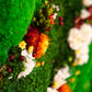 Bring Nature Indoors: Preserved Moss Wall Panels for Your Vertical Garden Oasis