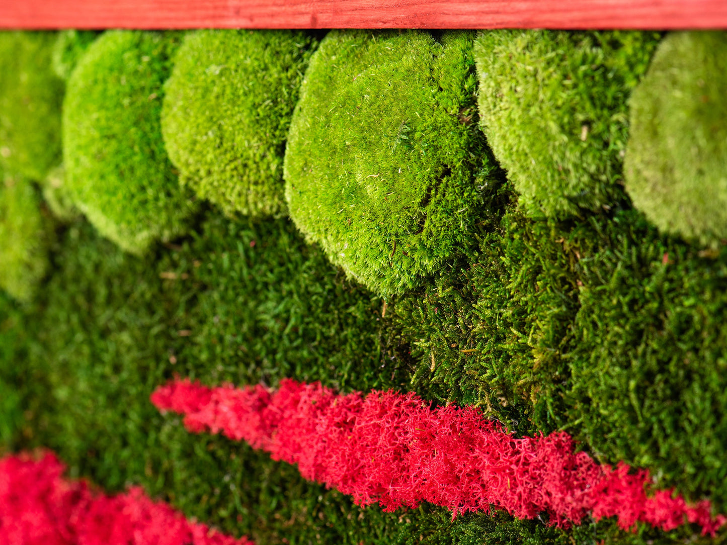 Preserved Moss Art: Biophilic Decor for Your Indoor Green Wall - Natural Moss Panel Artwork