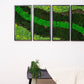 Enliven Your Space: Eco-Friendly, Framed Moss Wall Art - The Perfect Housewarming Gift!