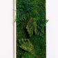 Green Your Space: Eco-Friendly Framed Moss Art for Unique Interior Wall Decorations