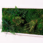 Green Your Space: Eco-Friendly Framed Moss Art for Unique Interior Wall Decorations