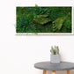 Green Your Space: Eco-Friendly Framed Moss Art for Unique Interior Wall Decorations