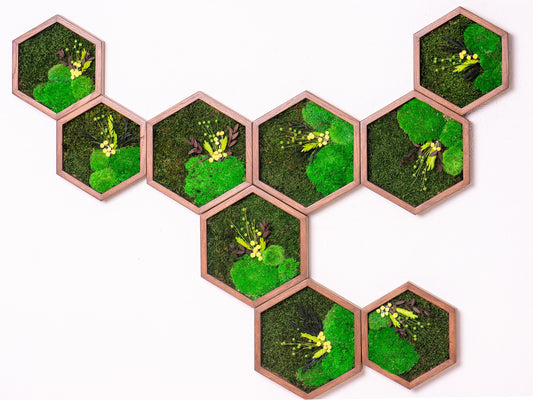 Minimalist Moss Art: Honeycomb Wall Decor for Home Office - Air Purifying Christmas Gift!
