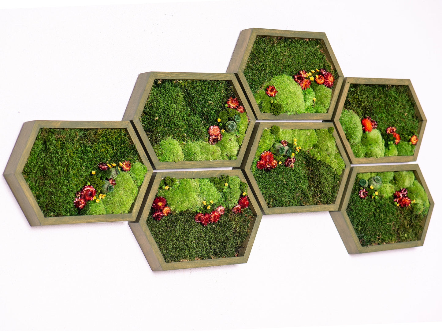 Enchanting Green Wall Art: Eco-Friendly, Framed Live Moss Decor - Perfect Housewarming Gift!
