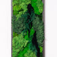 Transform Your Living Space with Eco-Friendly Framed Moss Wall Art - Perfect House Gift!