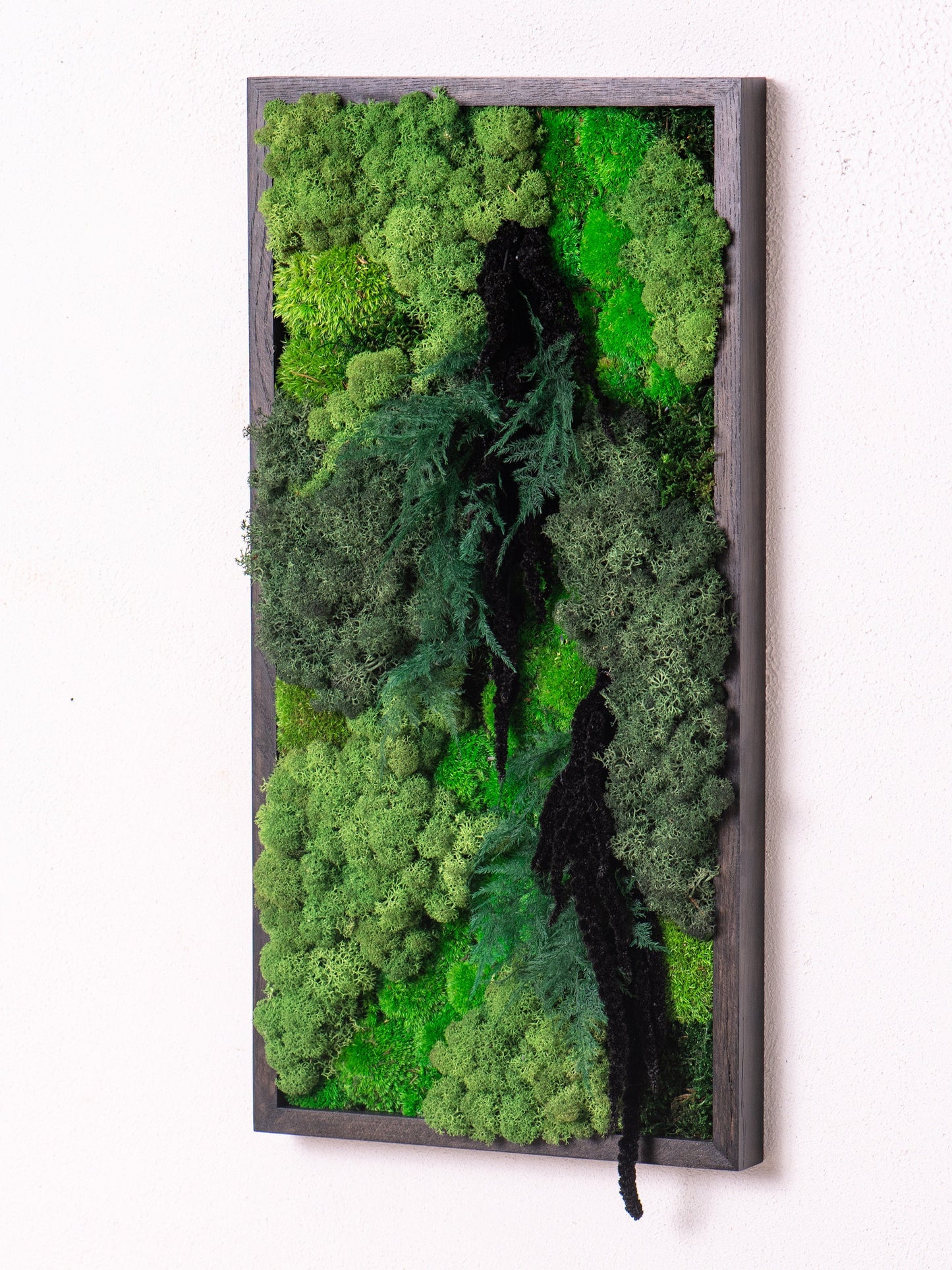 Transform Your Living Space with Eco-Friendly Framed Moss Wall Art - Perfect House Gift!