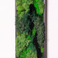 Revitalize Your Space with Our Preserved Moss Wall Decor: The Ultimate Green Statement Piece!