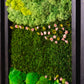 Enliven Your Space: Eco-Friendly Squares Moss Wall Art - Perfect Housewarming Gift!