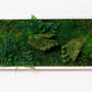 Green Your Space: Eco-Friendly Framed Moss Art for Unique Interior Wall Decorations