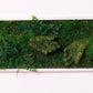 Green Your Space: Eco-Friendly Framed Moss Art for Unique Interior Wall Decorations