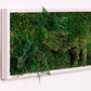 Green Your Space: Eco-Friendly Framed Moss Art for Unique Interior Wall Decorations