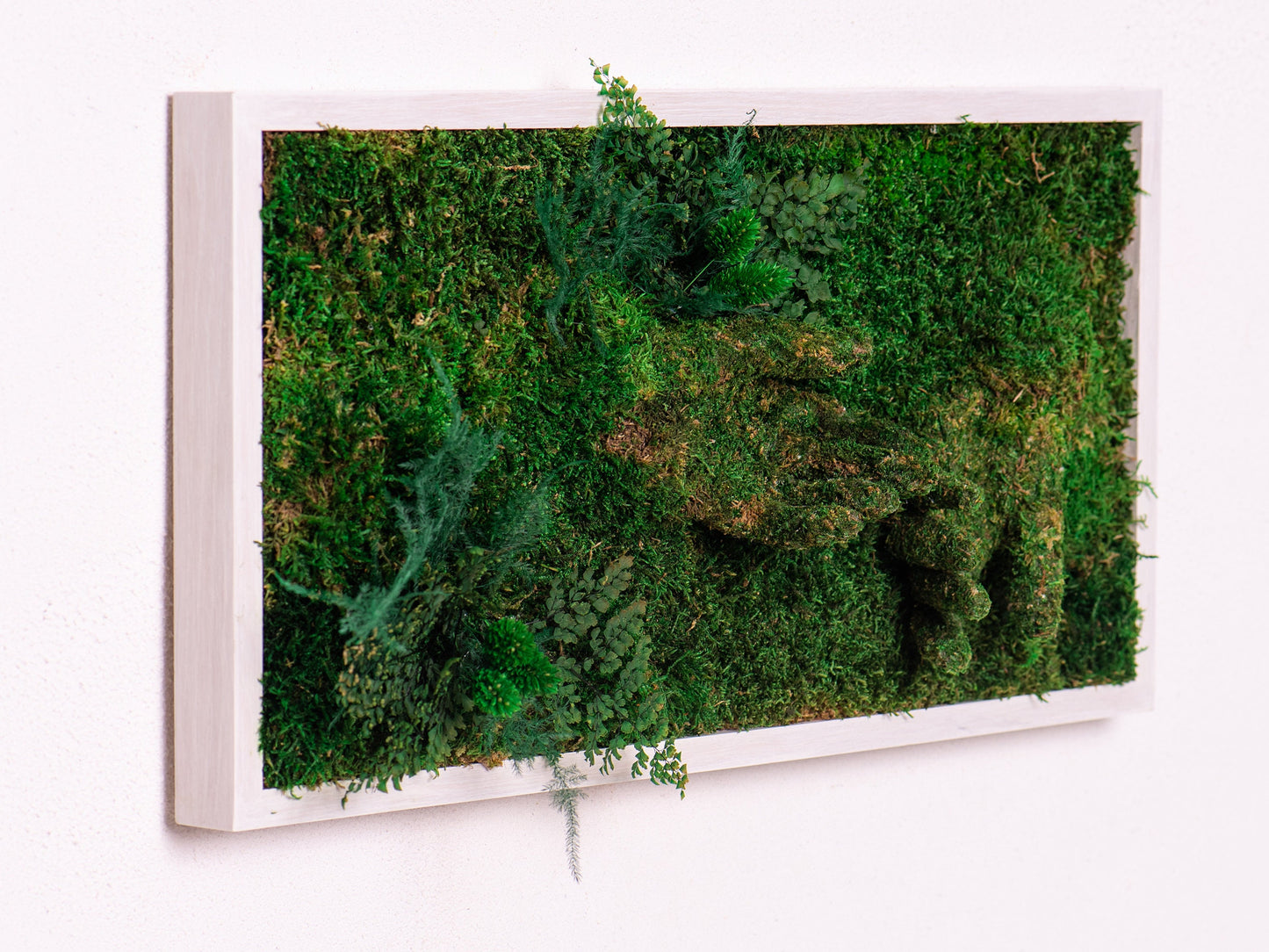 Green Your Space: Eco-Friendly Framed Moss Art for Unique Interior Wall Decorations