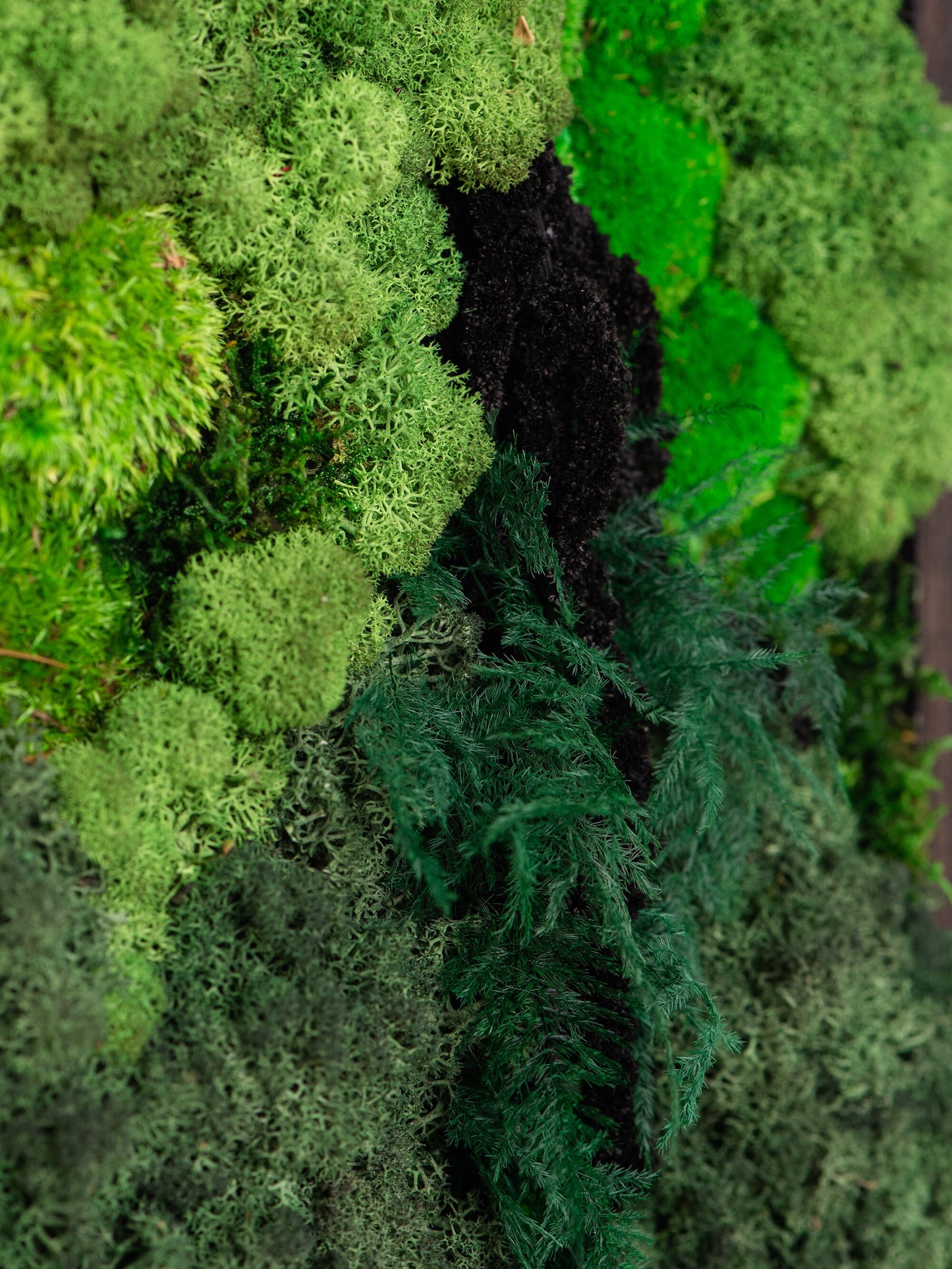 Lighted Moss Wall Art: Unique Christmas Gift for Her, Perfect Couple's Home Decor!
