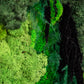 Lighted Moss Wall Art: Unique Christmas Gift for Her, Perfect Couple's Home Decor!