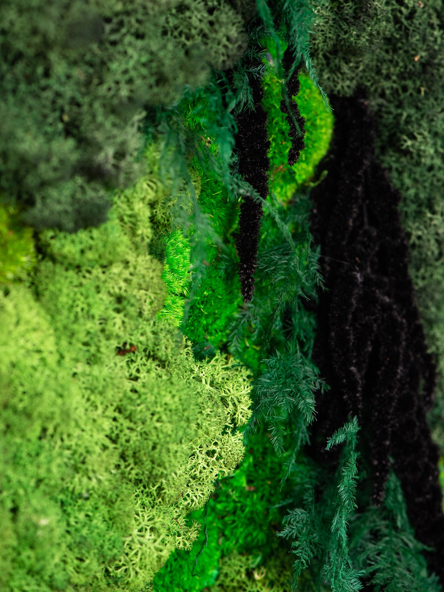 Lighted Moss Wall Art: Unique Christmas Gift for Her, Perfect Couple's Home Decor!