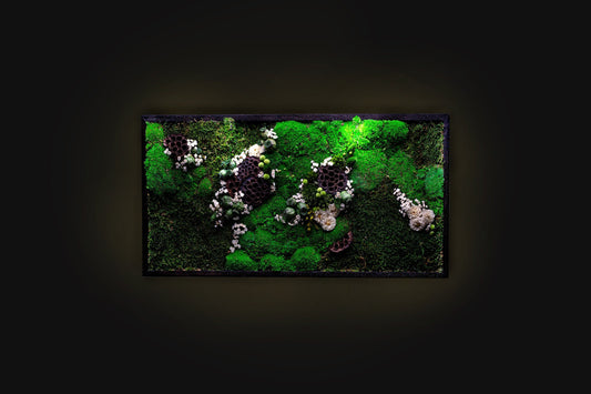LED-Backlit Preserved Moss Art: Eco-Friendly, Green Wall Decor for Home & Birthday Gifts!