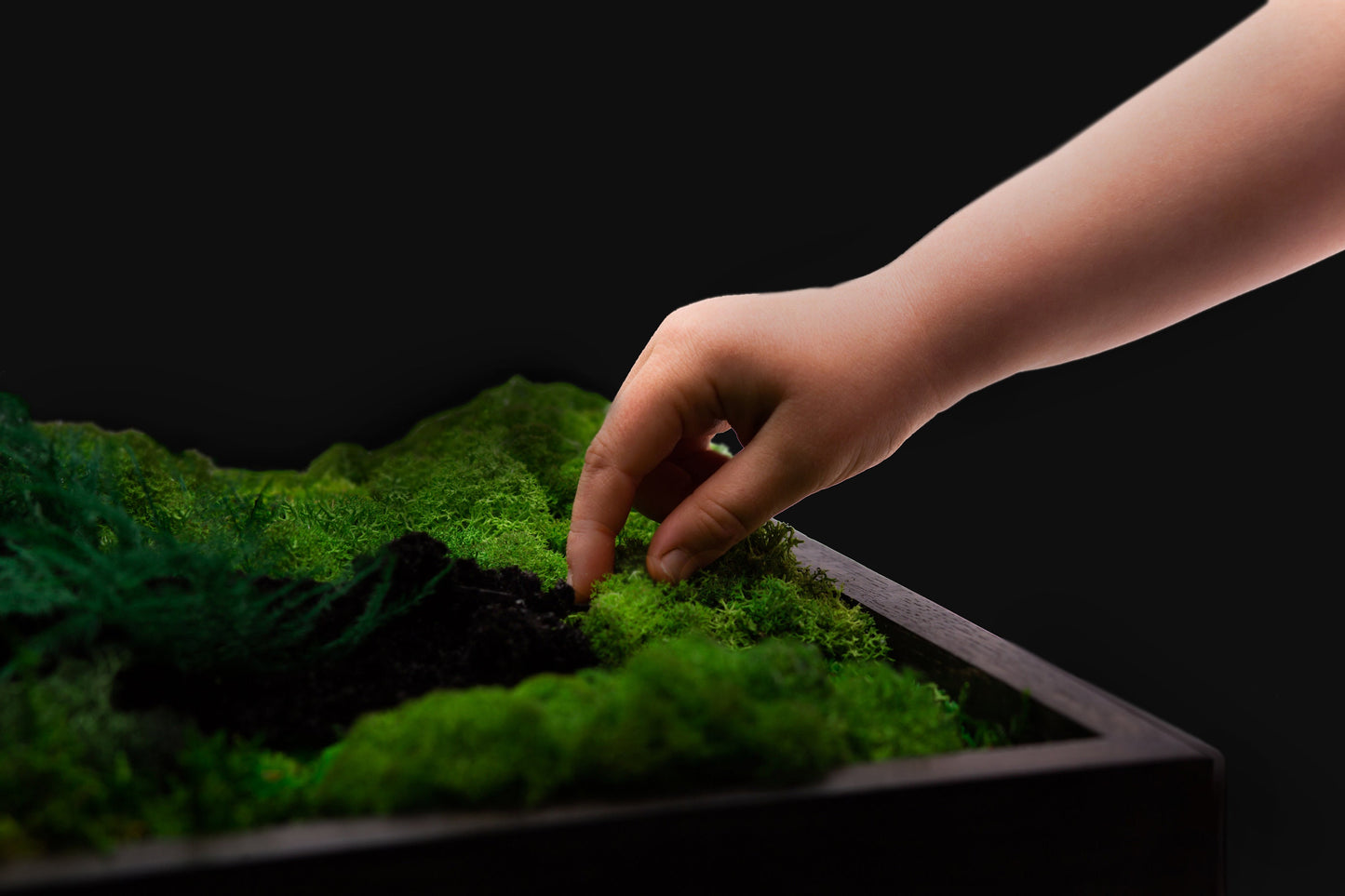 Unleash the Magic of Moss Art: The Ultimate Gift for Him, Her, and Your Company in 2023!