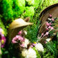 Unleash the Magic of Moss Art: The Ultimate Gift for Him, Her, and Your Company in 2023!