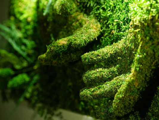 Enchanting Preserved Moss Wall Art: The Perfect Eco-Friendly Housewarming & Christmas Gift!