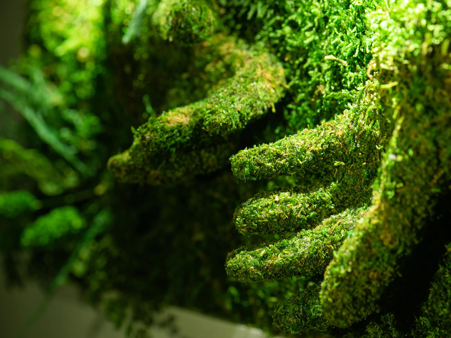 Enchanting Preserved Moss Wall Art: The Perfect Eco-Friendly Housewarming & Christmas Gift!