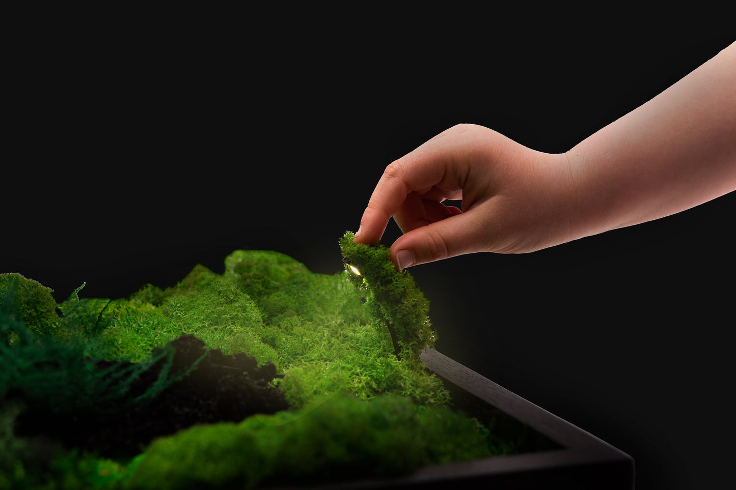 Lighted Moss Wall Art: Unique Christmas Gift for Her, Perfect Couple's Home Decor!