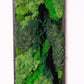 Lighted Moss Wall Art: Unique Christmas Gift for Her, Perfect Couple's Home Decor!