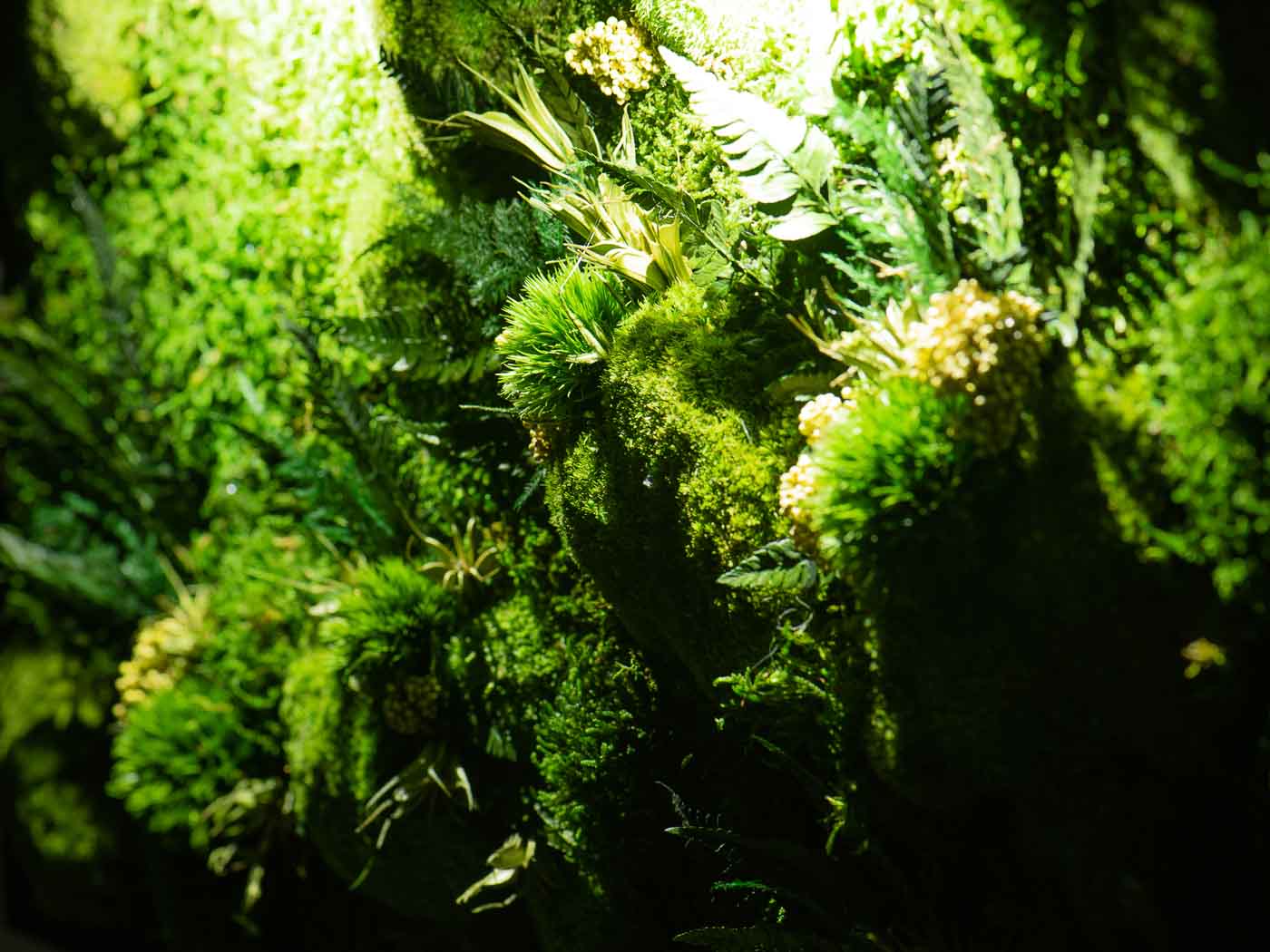 Beautiful Preserved Moss Artwork with LED Lights and Live Moss For Office or Home 1 piece frame