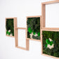 moss-wall-art-decor-24_(1)