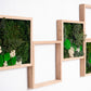 moss-wall-art-decor-25_(1)