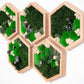 Honeycomb Moss Green Wall Art Preserved Moss Hexagons Wall Art