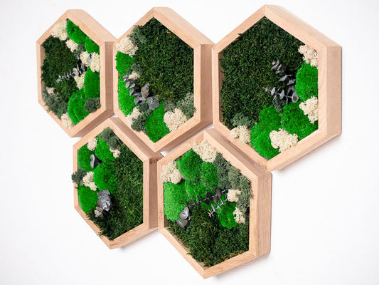 Honeycomb Moss Green Wall Art Preserved Moss Hexagons Wall Art
