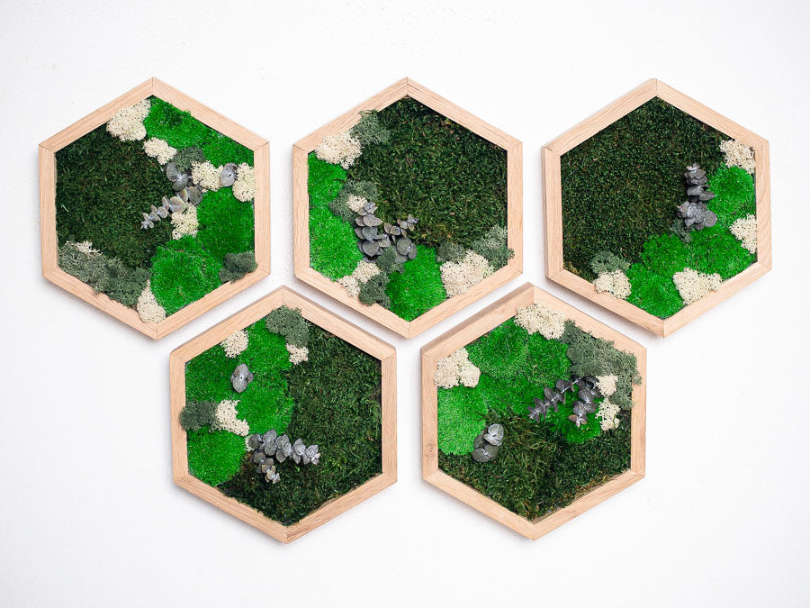 moss-wall-art-decor-bathroom-4_(1)